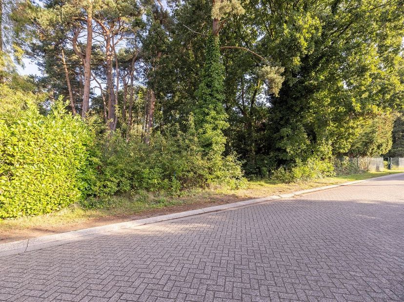 Bouwgrond voor OB van 7a99ca&lt;br /&gt;
Ligging: De grond is rustig en groen gelegen te Wechelderzande met alle faciliteiten in de nabije omgeving. Tevens