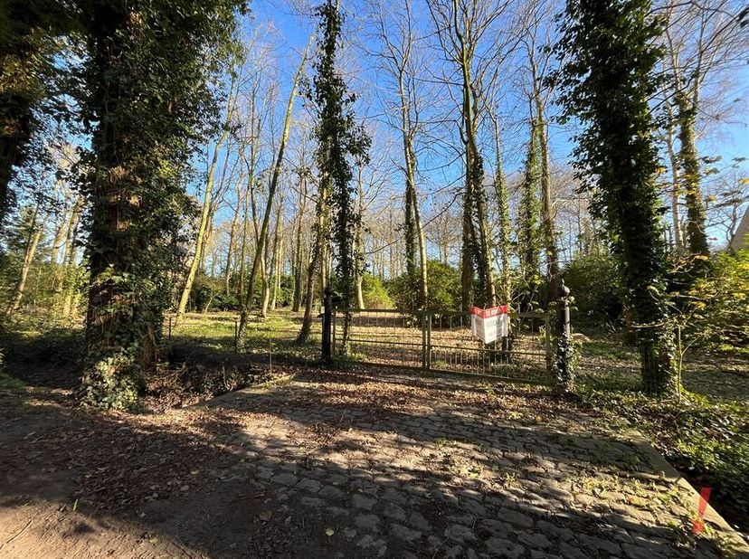 Terrain à vendre
                    à 8490 Varsenare