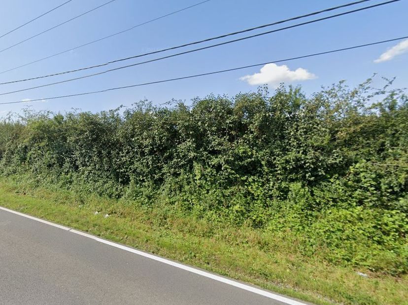 Beau terrain à bâtir de 10 ares et 75 centiares, situé à Beauwelz, un joli village à proximité de Chimay et de la frontière française. &lt;br /&gt;
Possibil